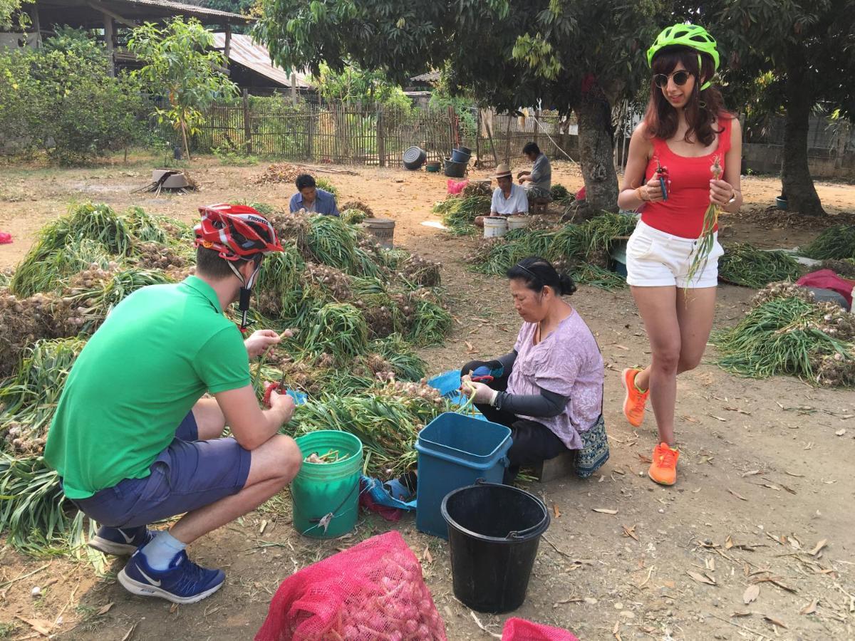 Hello Countryside Bed and Breakfast Ban Khang Hong Tai Exteriör bild